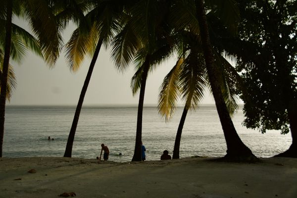 Anse Figuier