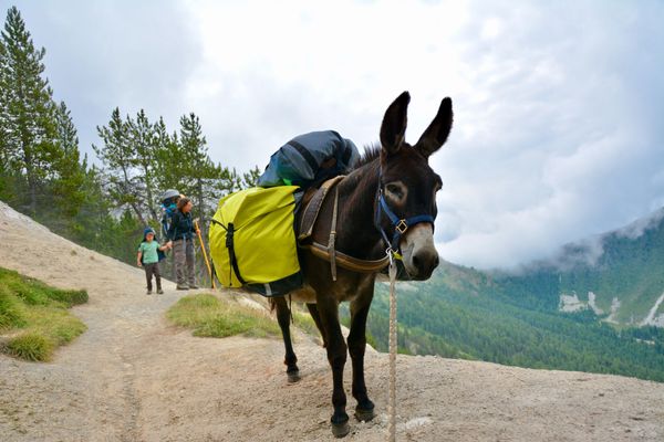 Portraits d’été en Queyras