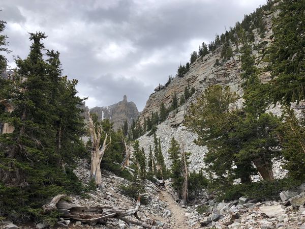 Great Basin NP