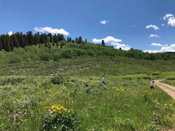 Green Wyoming