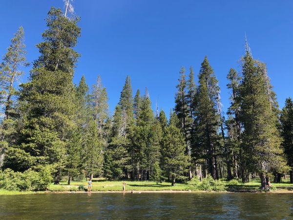 Nord Truckee