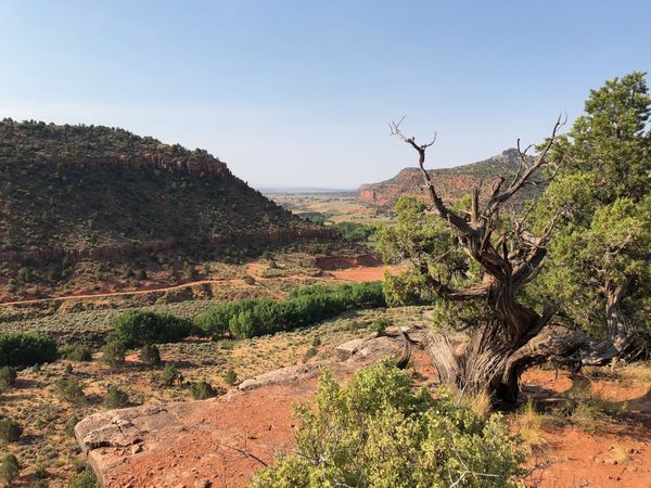 Kanab