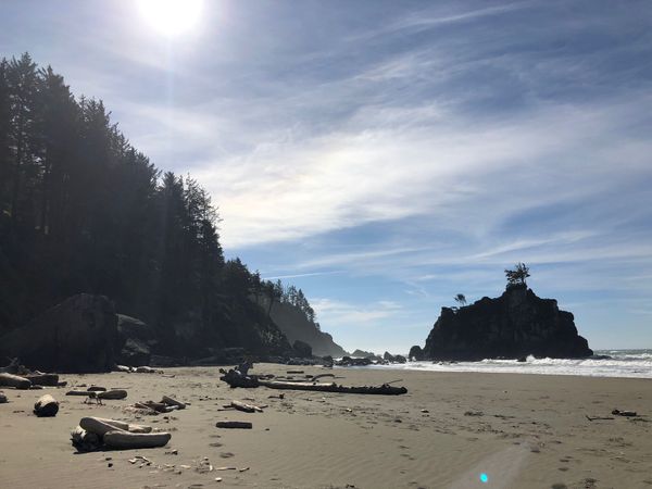 Lost Coast