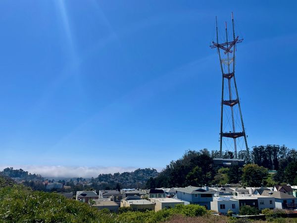 Autour du Mt Sutro