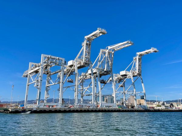 Oakland Cranes